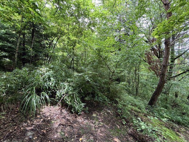 善光寺町(善光寺駅) 100万円