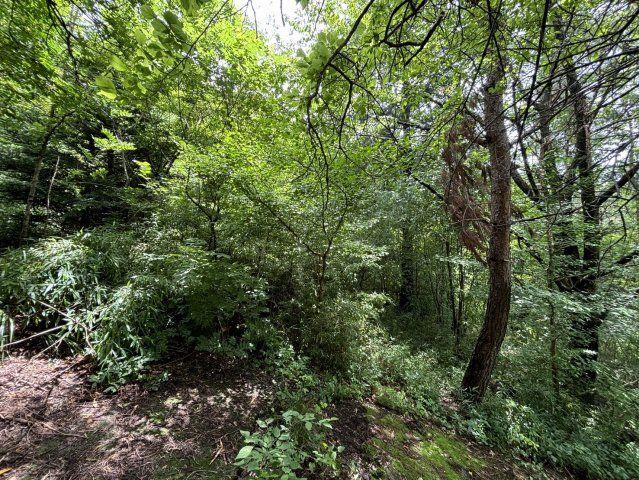 善光寺町(善光寺駅) 100万円