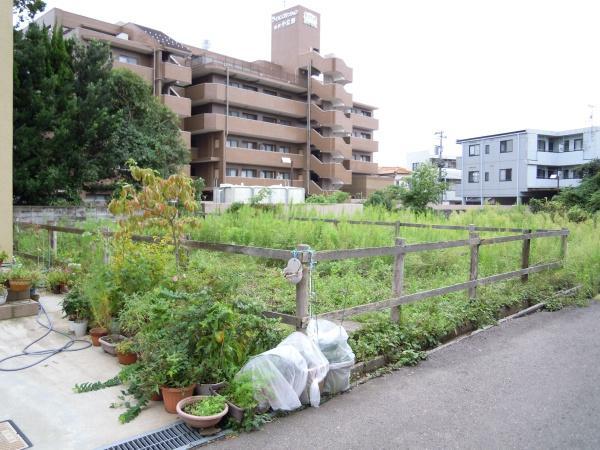 現地土地写真