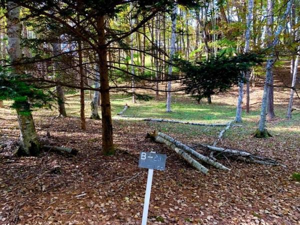 前山 315万円