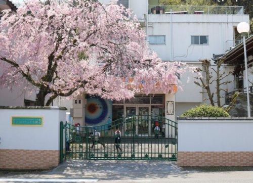 townhouse 福井県福井市西木田３-1504