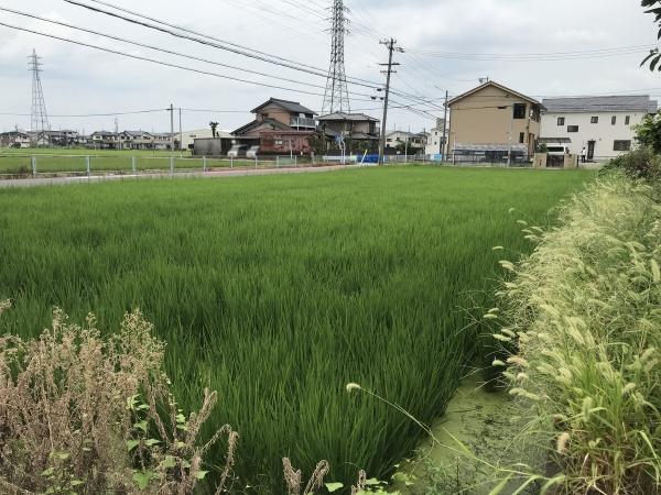 木曽川町門間字南島海（石刀駅） 3480万円