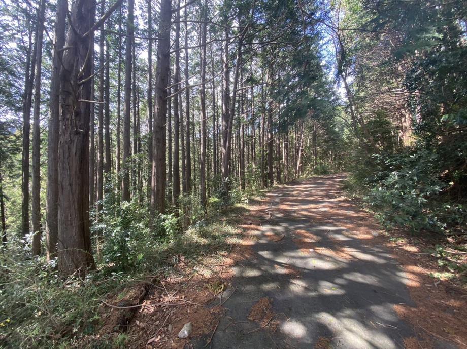 八幡野(伊豆高原駅) 980万円