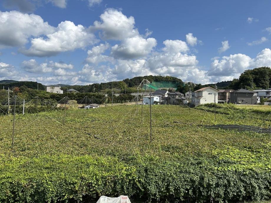 detached 愛知県岡崎市松橋町３