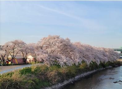 detached 愛知県清須市西田中本城