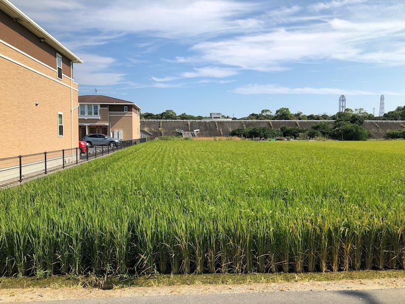 大字亀尾新田（伊勢朝日駅） 980万円