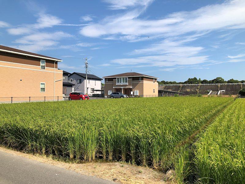 大字亀尾新田（伊勢朝日駅） 980万円