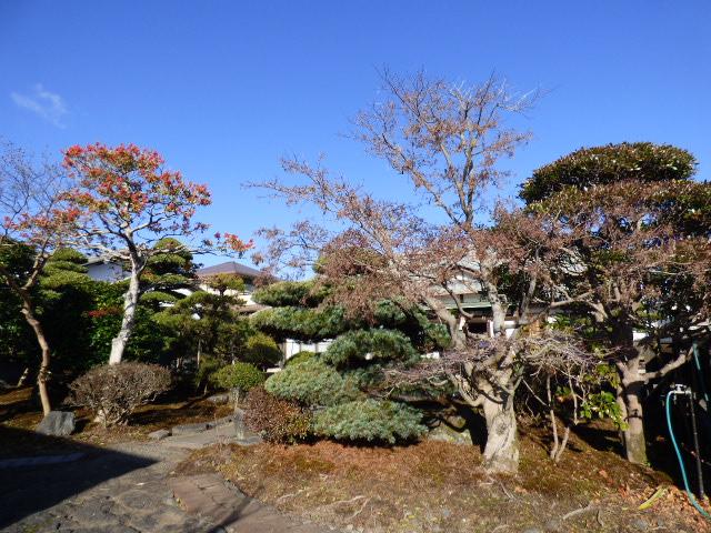 源道寺町（源道寺駅） 3800万円