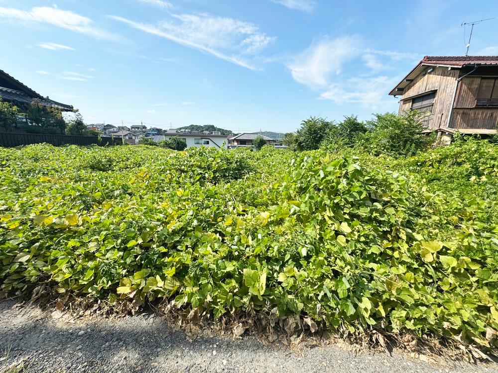 平井町３（小泉駅） 1098万円