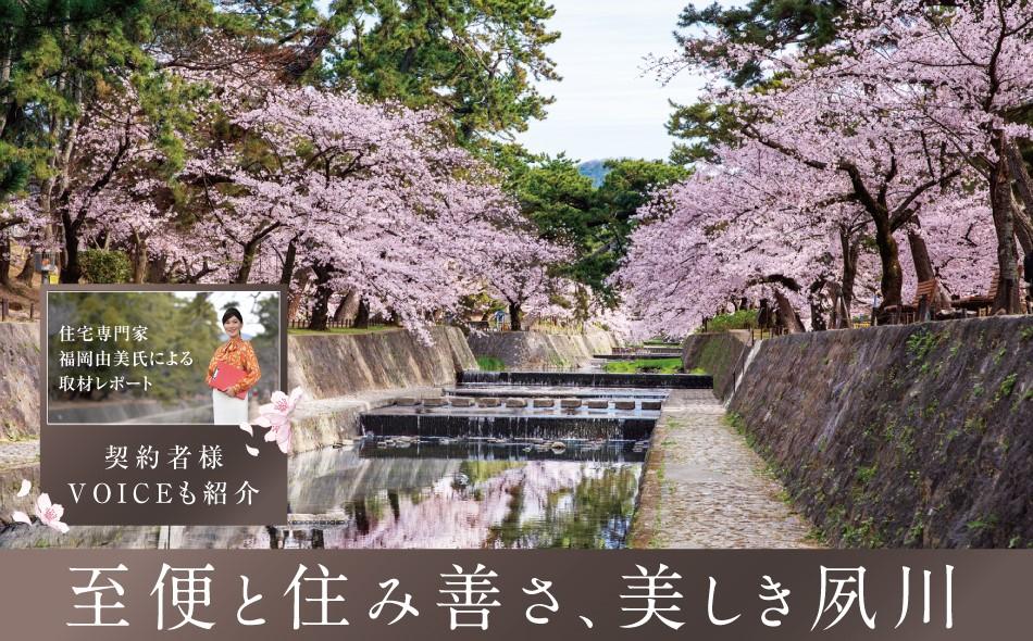 ジオ夙川公園の取材レポート画像