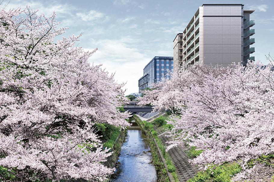 プレイズ奈良新大宮　奈良県奈良市大宮町７画像