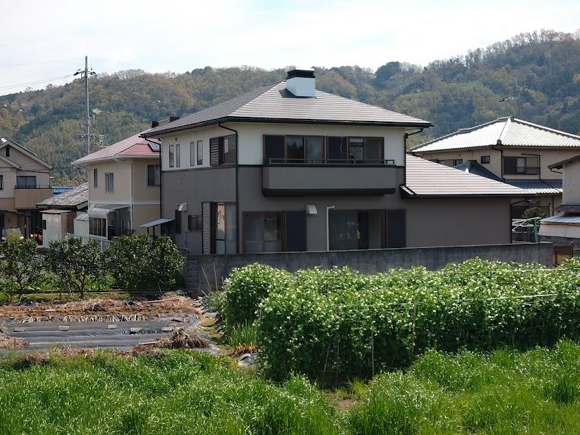 向野町（河内長野駅） 2080万円