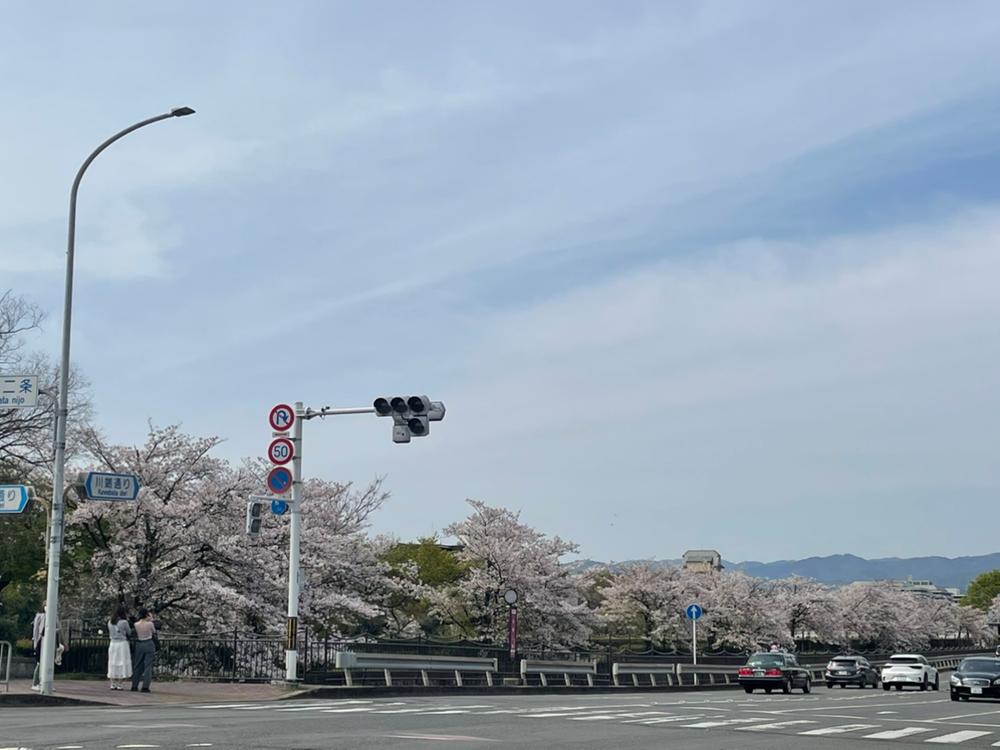 detached 京都府京都市左京区吉永町