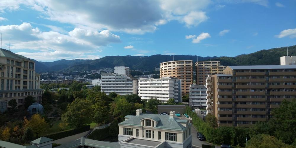 オーキッド 販売 コート 右 峯 館 評判