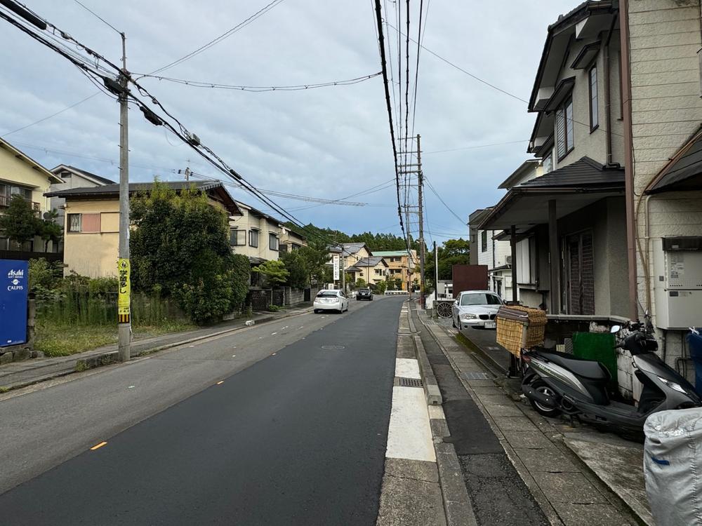 掛軸 掛け軸-松竹梅鶴亀/戸塚翠漣 おめでたい掛軸送料無料(尺三