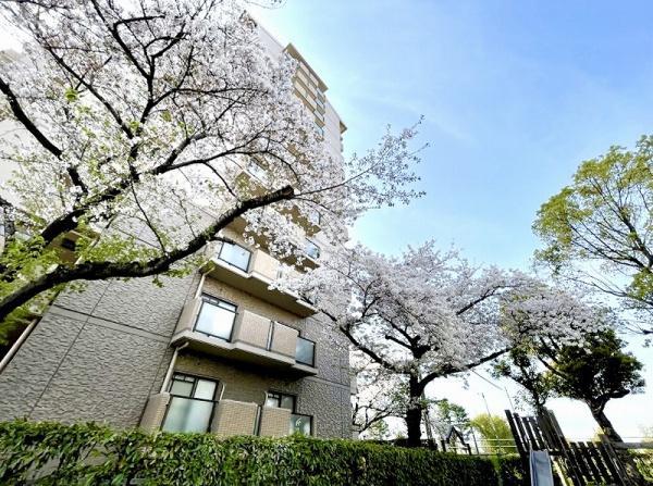 セントポリア北大阪ヴィソン壱番館