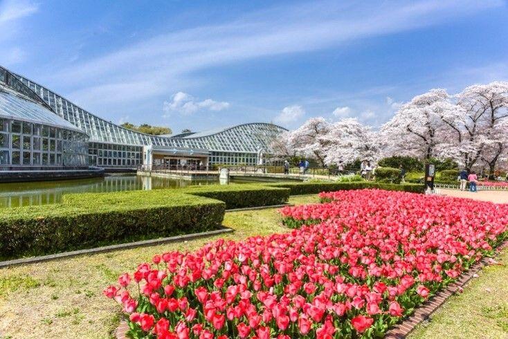 紫野下柳町（北大路駅） 6120万円