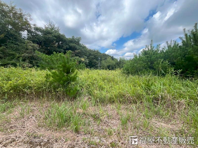 室生上笠間 98万円