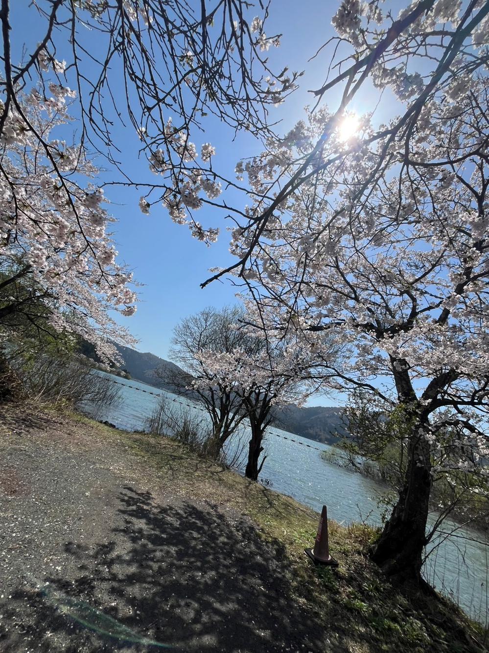 detached 滋賀県長浜市余呉町中之郷