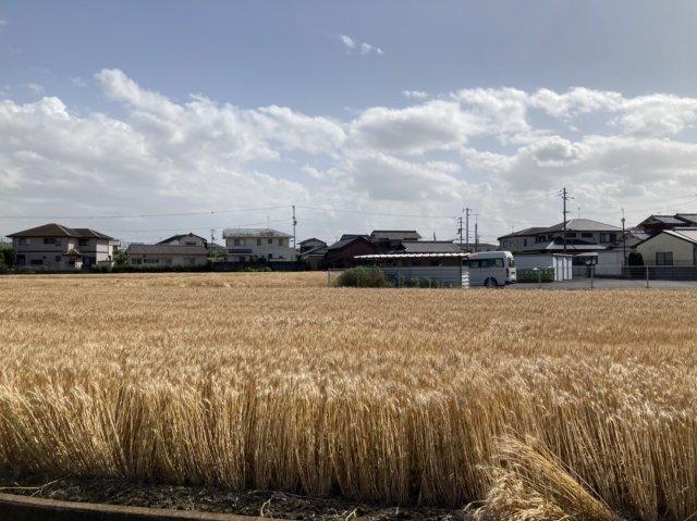 香川町浅野（空港通り駅） 1300万円