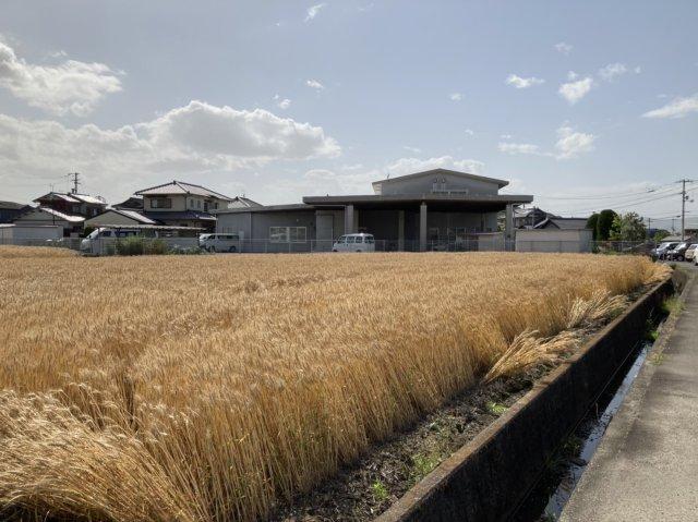 香川町浅野（空港通り駅） 1300万円