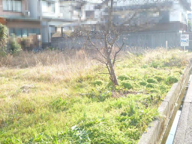 吾川郡いの町枝川　売土地