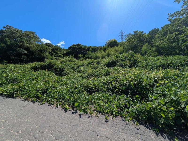 高松市川島東町 売土地