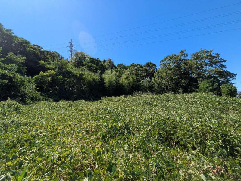 高松市川島東町 売土地