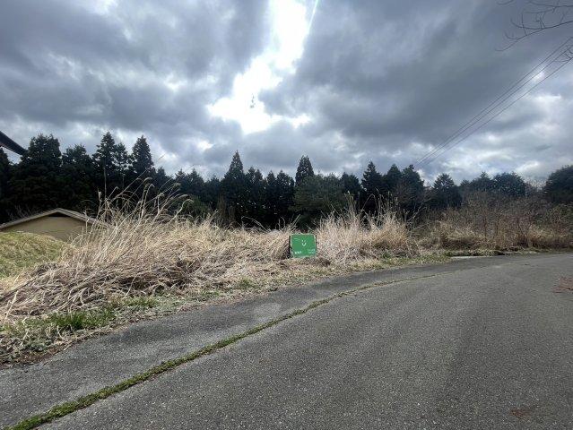 近田 250万円