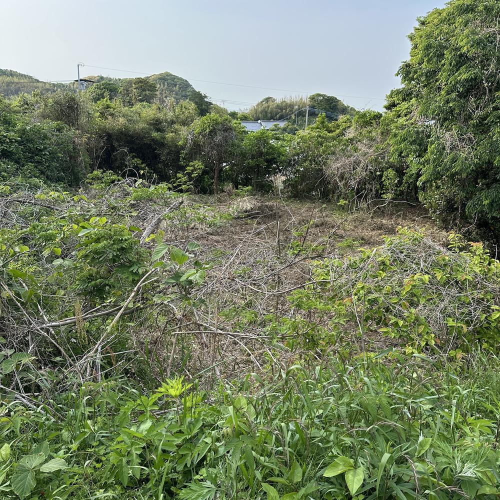 志摩桜井 700万円