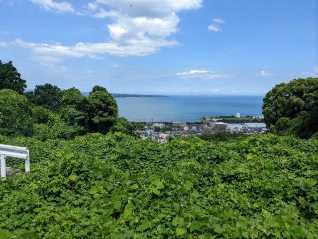 大字野田（亀川駅） 800万円