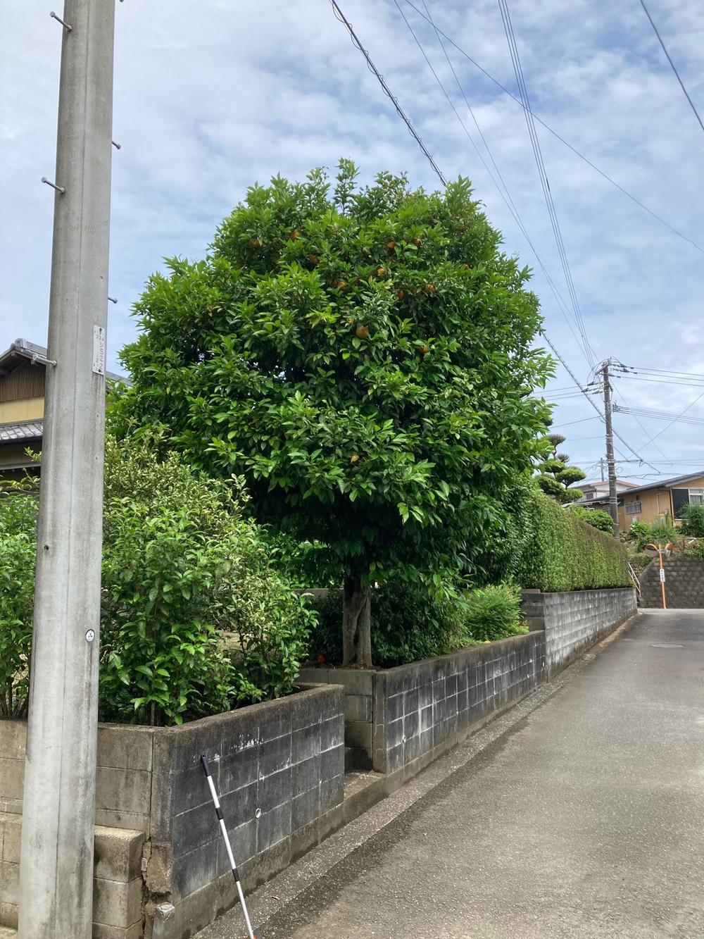 佐土原町下田島（佐土原駅） 550万円