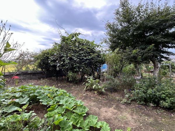 detached 大分県宇佐市大字森山主要地