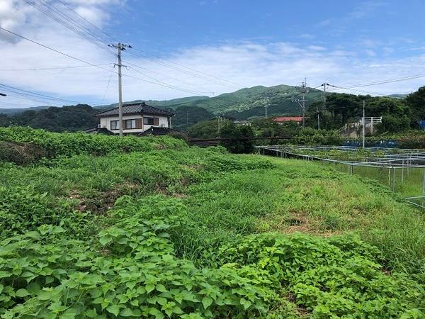 長浦町 300万円