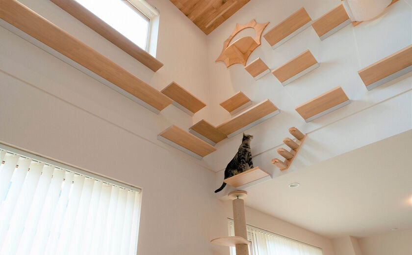 寿建設 家じゅうが快適空間【家族もペットも居心地がいい家】の画像