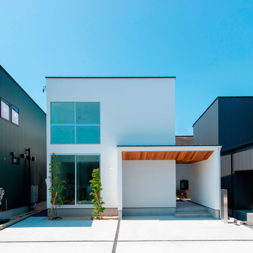 エルフィンの画像1