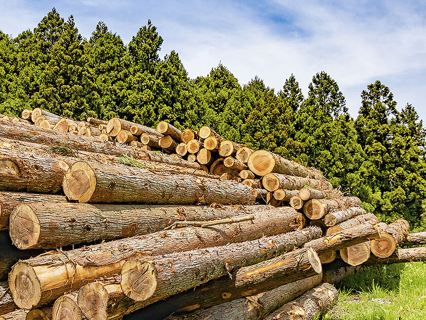 高砂建設　埼玉・東京 人にも地球にもやさしい家づくりのために素材からこだわるの画像