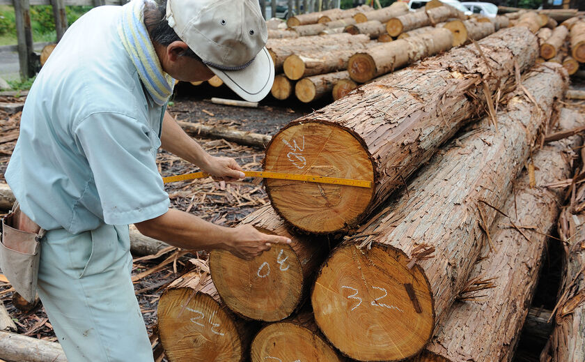 高砂建設　埼玉・東京 林業家組合と提携した産地直送。地産地消で安心価格にの画像