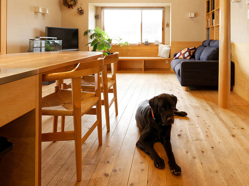 優建築工房 陽だまりのぬくもりや、卓越風の涼しさの中で暮らせる住まいの画像