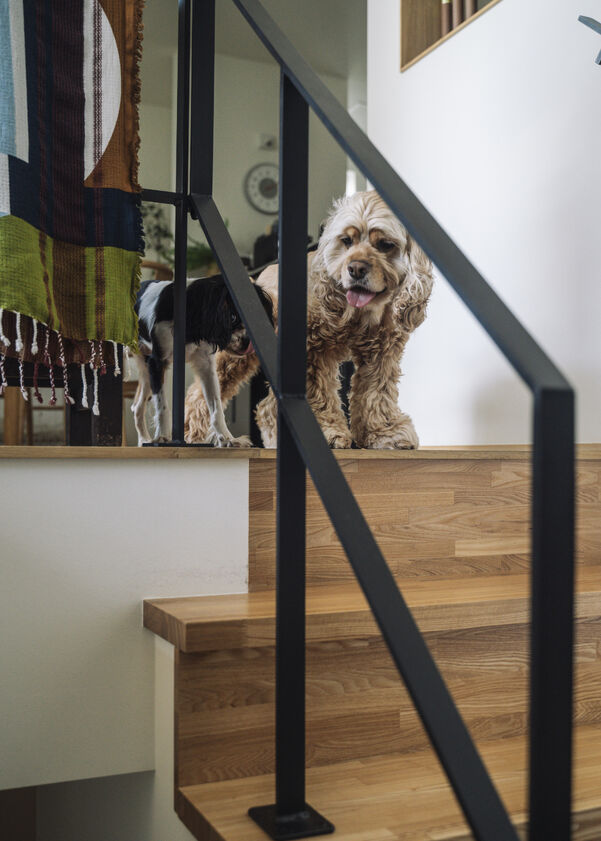 スタジオカーサ　一級建築士事務所の画像4