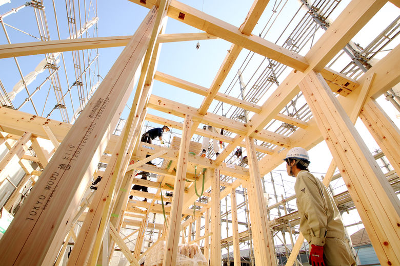 小嶋工務店 TOKYO WOOD 東京の木、多摩産材の家づくりなら小嶋工務店の画像