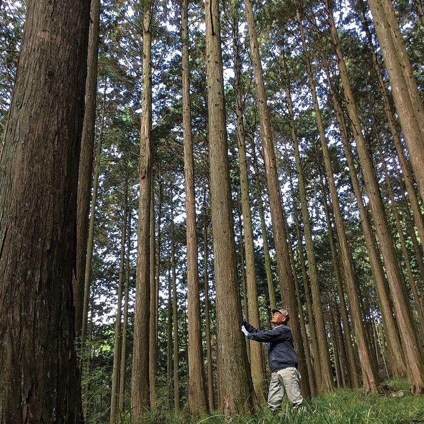 昭和住宅の画像4