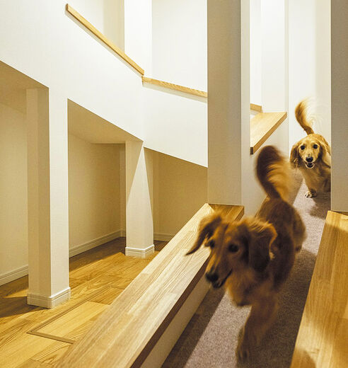 大原建設（パナソニックビルダーズグループ） 「どうしたらできるか＆無ければ探す、無いなら創る」。施主の想いに応えてくれる！の画像