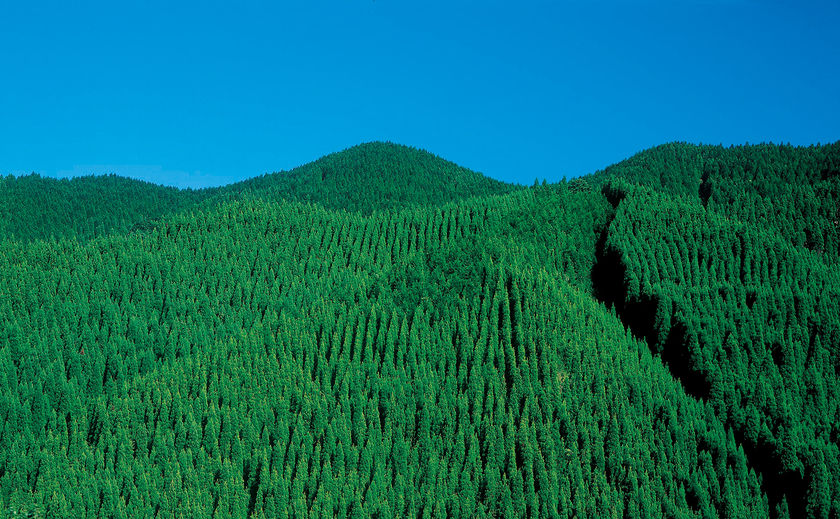 新産住拓 木の住まいは、環境にやさしいの画像