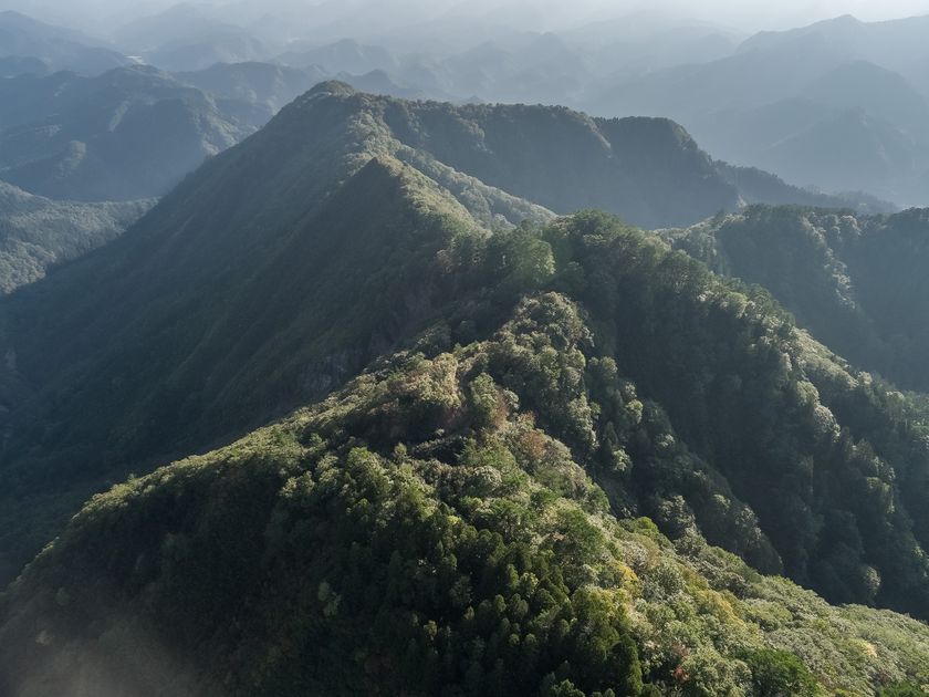 古河林業 安心の企業力で「家づくり」と日本の「森づくり」を同時展開の画像