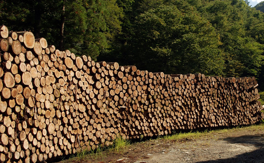 古河林業 地球の未来を考え、国産材の家を建てることにより「持続可能な循環型社会」を目指すの画像