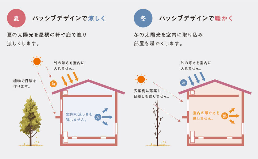 WITHDOM建築設計 暮らしのトータルコストまで考えた、自然光を活かすパッシブ設計の画像