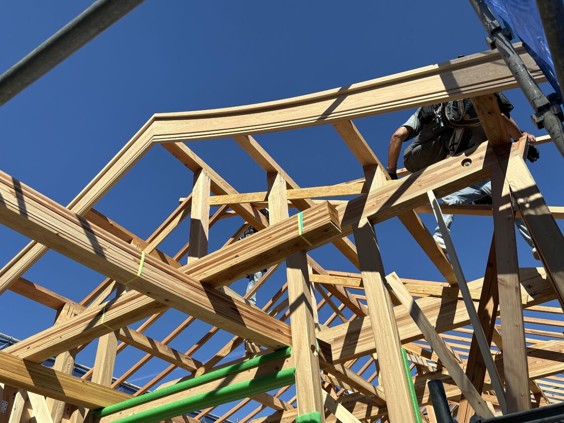 フロックスの画像8