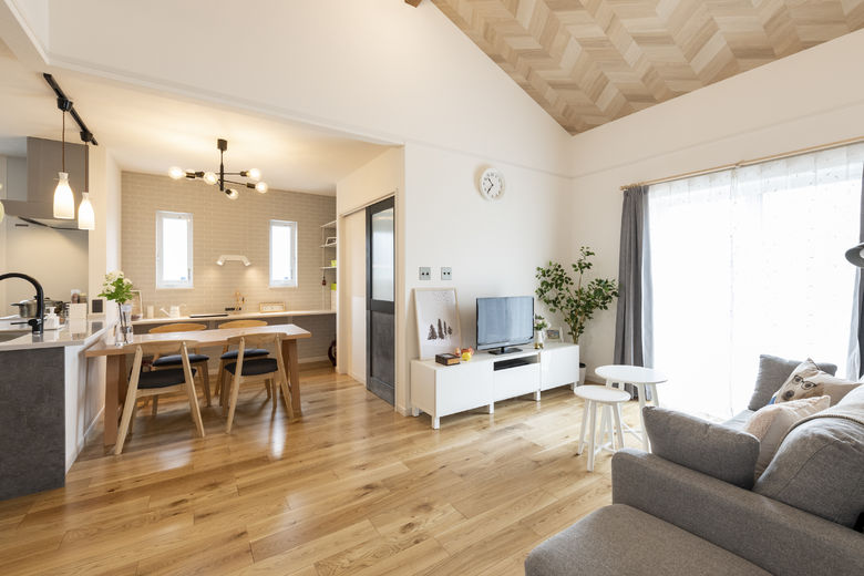 ニッケンホーム Passive Designの画像