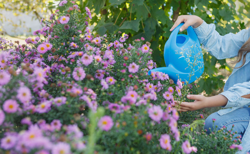 悠悠ホーム 「潤re(うるり)」で家中の水をキレイにの画像